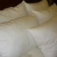 Euroquilt Pyrenean Duck down and feather pillow 15/85%
