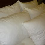 Euroquilt Pyrenean Duck down and feather pillow 15/85%