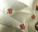 Premier pure Hungarian goose down pillow