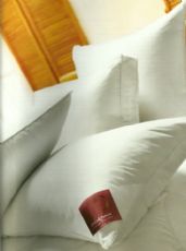 The Bauschi Polyester filled pillow