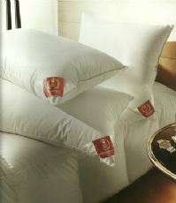The Down Surround pillow